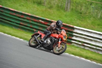 Mallory-park-Leicestershire;Mallory-park-photographs;Motorcycle-action-photographs;classic-bikes;event-digital-images;eventdigitalimages;mallory-park;no-limits-trackday;peter-wileman-photography;vintage-bikes;vintage-motorcycles;vmcc-festival-1000-bikes