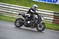 Mallory-park-Leicestershire;Mallory-park-photographs;Motorcycle-action-photographs;classic-bikes;event-digital-images;eventdigitalimages;mallory-park;no-limits-trackday;peter-wileman-photography;vintage-bikes;vintage-motorcycles;vmcc-festival-1000-bikes