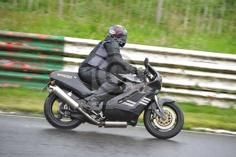 Mallory park Leicestershire;Mallory park photographs;Motorcycle action photographs;classic bikes;event digital images;eventdigitalimages;mallory park;no limits trackday;peter wileman photography;vintage bikes;vintage motorcycles;vmcc festival 1000 bikes