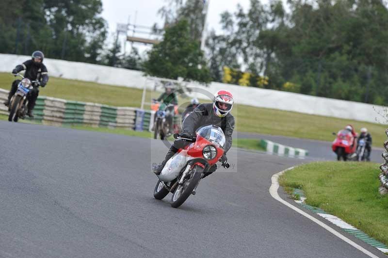 Mallory park Leicestershire;Mallory park photographs;Motorcycle action photographs;classic bikes;event digital images;eventdigitalimages;mallory park;no limits trackday;peter wileman photography;vintage bikes;vintage motorcycles;vmcc festival 1000 bikes