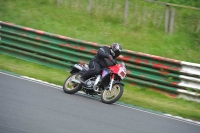 Mallory-park-Leicestershire;Mallory-park-photographs;Motorcycle-action-photographs;classic-bikes;event-digital-images;eventdigitalimages;mallory-park;no-limits-trackday;peter-wileman-photography;vintage-bikes;vintage-motorcycles;vmcc-festival-1000-bikes