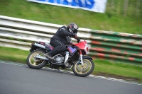 Mallory-park-Leicestershire;Mallory-park-photographs;Motorcycle-action-photographs;classic-bikes;event-digital-images;eventdigitalimages;mallory-park;no-limits-trackday;peter-wileman-photography;vintage-bikes;vintage-motorcycles;vmcc-festival-1000-bikes