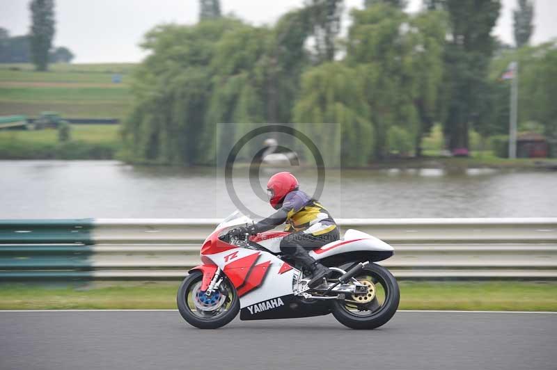 Mallory park Leicestershire;Mallory park photographs;Motorcycle action photographs;classic bikes;event digital images;eventdigitalimages;mallory park;no limits trackday;peter wileman photography;vintage bikes;vintage motorcycles;vmcc festival 1000 bikes