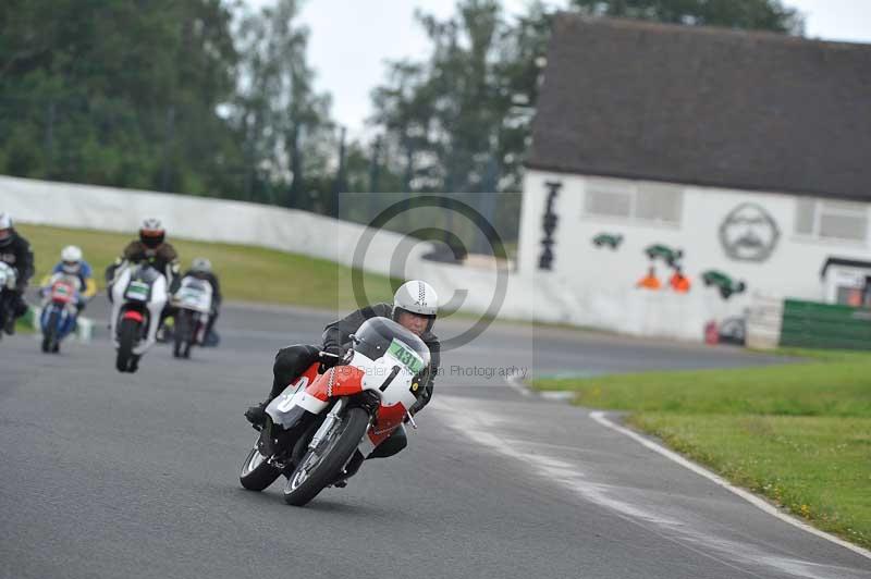 Mallory park Leicestershire;Mallory park photographs;Motorcycle action photographs;classic bikes;event digital images;eventdigitalimages;mallory park;no limits trackday;peter wileman photography;vintage bikes;vintage motorcycles;vmcc festival 1000 bikes