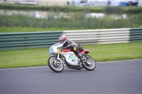 Mallory-park-Leicestershire;Mallory-park-photographs;Motorcycle-action-photographs;classic-bikes;event-digital-images;eventdigitalimages;mallory-park;no-limits-trackday;peter-wileman-photography;vintage-bikes;vintage-motorcycles;vmcc-festival-1000-bikes