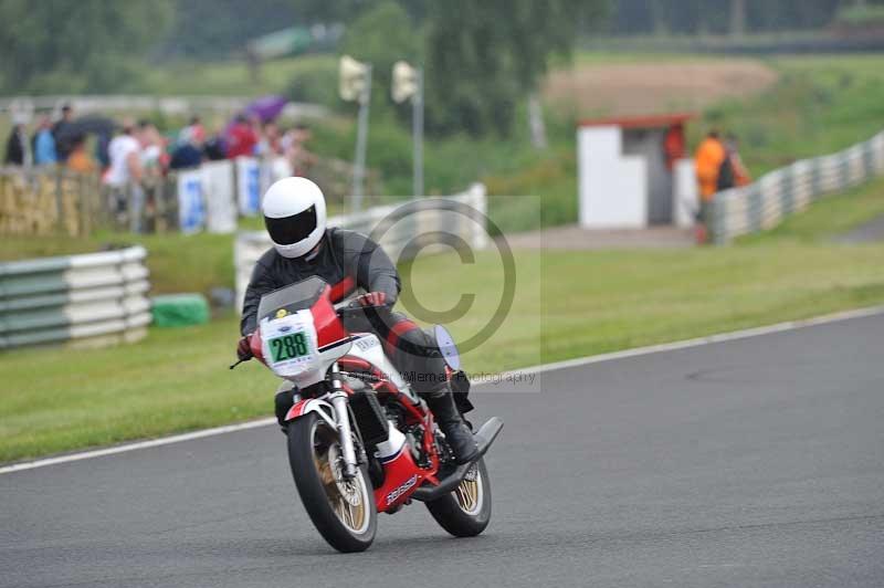 Mallory park Leicestershire;Mallory park photographs;Motorcycle action photographs;classic bikes;event digital images;eventdigitalimages;mallory park;no limits trackday;peter wileman photography;vintage bikes;vintage motorcycles;vmcc festival 1000 bikes