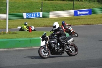 Mallory-park-Leicestershire;Mallory-park-photographs;Motorcycle-action-photographs;classic-bikes;event-digital-images;eventdigitalimages;mallory-park;no-limits-trackday;peter-wileman-photography;vintage-bikes;vintage-motorcycles;vmcc-festival-1000-bikes
