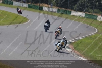 13-07-2013 VMCC Festival 1000 Bikes