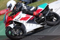 Vintage-motorcycle-club;eventdigitalimages;mallory-park;mallory-park-trackday-photographs;no-limits-trackdays;peter-wileman-photography;trackday-digital-images;trackday-photos;vmcc-festival-1000-bikes-photographs