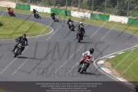 Vintage-motorcycle-club;eventdigitalimages;mallory-park;mallory-park-trackday-photographs;no-limits-trackdays;peter-wileman-photography;trackday-digital-images;trackday-photos;vmcc-festival-1000-bikes-photographs