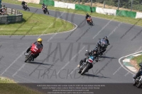 Vintage-motorcycle-club;eventdigitalimages;mallory-park;mallory-park-trackday-photographs;no-limits-trackdays;peter-wileman-photography;trackday-digital-images;trackday-photos;vmcc-festival-1000-bikes-photographs