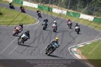 Vintage-motorcycle-club;eventdigitalimages;mallory-park;mallory-park-trackday-photographs;no-limits-trackdays;peter-wileman-photography;trackday-digital-images;trackday-photos;vmcc-festival-1000-bikes-photographs