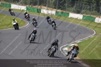 Vintage-motorcycle-club;eventdigitalimages;mallory-park;mallory-park-trackday-photographs;no-limits-trackdays;peter-wileman-photography;trackday-digital-images;trackday-photos;vmcc-festival-1000-bikes-photographs