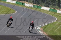 Vintage-motorcycle-club;eventdigitalimages;mallory-park;mallory-park-trackday-photographs;no-limits-trackdays;peter-wileman-photography;trackday-digital-images;trackday-photos;vmcc-festival-1000-bikes-photographs