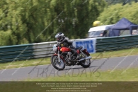 Vintage-motorcycle-club;eventdigitalimages;mallory-park;mallory-park-trackday-photographs;no-limits-trackdays;peter-wileman-photography;trackday-digital-images;trackday-photos;vmcc-festival-1000-bikes-photographs