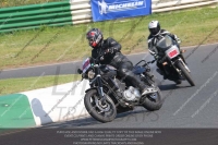 Vintage-motorcycle-club;eventdigitalimages;mallory-park;mallory-park-trackday-photographs;no-limits-trackdays;peter-wileman-photography;trackday-digital-images;trackday-photos;vmcc-festival-1000-bikes-photographs