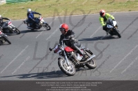 Vintage-motorcycle-club;eventdigitalimages;mallory-park;mallory-park-trackday-photographs;no-limits-trackdays;peter-wileman-photography;trackday-digital-images;trackday-photos;vmcc-festival-1000-bikes-photographs