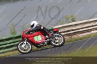 Vintage-motorcycle-club;eventdigitalimages;mallory-park;mallory-park-trackday-photographs;no-limits-trackdays;peter-wileman-photography;trackday-digital-images;trackday-photos;vmcc-festival-1000-bikes-photographs