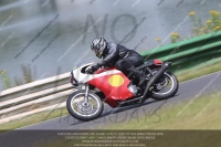 Vintage-motorcycle-club;eventdigitalimages;mallory-park;mallory-park-trackday-photographs;no-limits-trackdays;peter-wileman-photography;trackday-digital-images;trackday-photos;vmcc-festival-1000-bikes-photographs