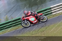 Vintage-motorcycle-club;eventdigitalimages;mallory-park;mallory-park-trackday-photographs;no-limits-trackdays;peter-wileman-photography;trackday-digital-images;trackday-photos;vmcc-festival-1000-bikes-photographs