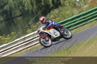 Vintage-motorcycle-club;eventdigitalimages;mallory-park;mallory-park-trackday-photographs;no-limits-trackdays;peter-wileman-photography;trackday-digital-images;trackday-photos;vmcc-festival-1000-bikes-photographs