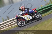 Vintage-motorcycle-club;eventdigitalimages;mallory-park;mallory-park-trackday-photographs;no-limits-trackdays;peter-wileman-photography;trackday-digital-images;trackday-photos;vmcc-festival-1000-bikes-photographs