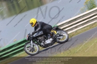 Vintage-motorcycle-club;eventdigitalimages;mallory-park;mallory-park-trackday-photographs;no-limits-trackdays;peter-wileman-photography;trackday-digital-images;trackday-photos;vmcc-festival-1000-bikes-photographs