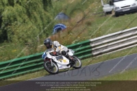Vintage-motorcycle-club;eventdigitalimages;mallory-park;mallory-park-trackday-photographs;no-limits-trackdays;peter-wileman-photography;trackday-digital-images;trackday-photos;vmcc-festival-1000-bikes-photographs