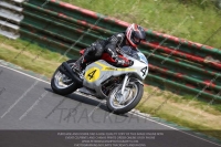 Vintage-motorcycle-club;eventdigitalimages;mallory-park;mallory-park-trackday-photographs;no-limits-trackdays;peter-wileman-photography;trackday-digital-images;trackday-photos;vmcc-festival-1000-bikes-photographs