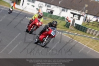 Vintage-motorcycle-club;eventdigitalimages;mallory-park;mallory-park-trackday-photographs;no-limits-trackdays;peter-wileman-photography;trackday-digital-images;trackday-photos;vmcc-festival-1000-bikes-photographs