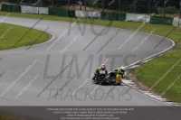 Vintage-motorcycle-club;eventdigitalimages;mallory-park;mallory-park-trackday-photographs;no-limits-trackdays;peter-wileman-photography;trackday-digital-images;trackday-photos;vmcc-festival-1000-bikes-photographs