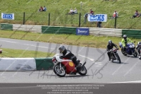 Vintage-motorcycle-club;eventdigitalimages;mallory-park;mallory-park-trackday-photographs;no-limits-trackdays;peter-wileman-photography;trackday-digital-images;trackday-photos;vmcc-festival-1000-bikes-photographs