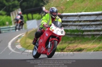 Vintage-motorcycle-club;eventdigitalimages;mallory-park;mallory-park-trackday-photographs;no-limits-trackdays;peter-wileman-photography;trackday-digital-images;trackday-photos;vmcc-festival-1000-bikes-photographs