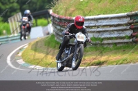 Vintage-motorcycle-club;eventdigitalimages;mallory-park;mallory-park-trackday-photographs;no-limits-trackdays;peter-wileman-photography;trackday-digital-images;trackday-photos;vmcc-festival-1000-bikes-photographs