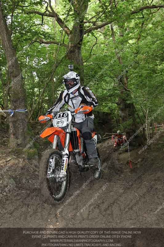 enduro digital images;enduro photos;eventdigitalimages;llandrindod wells;no limits trackdays;peter wileman photography;trackday digital images;wales;welsh 2 day enduro