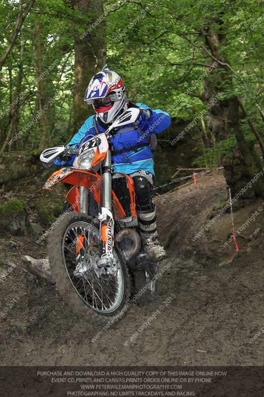 enduro digital images;enduro photos;eventdigitalimages;llandrindod wells;no limits trackdays;peter wileman photography;trackday digital images;wales;welsh 2 day enduro