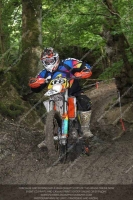 enduro-digital-images;enduro-photos;eventdigitalimages;llandrindod-wells;no-limits-trackdays;peter-wileman-photography;trackday-digital-images;wales;welsh-2-day-enduro