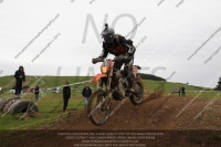 enduro-digital-images;enduro-photos;eventdigitalimages;llandrindod-wells;no-limits-trackdays;peter-wileman-photography;trackday-digital-images;wales;welsh-2-day-enduro