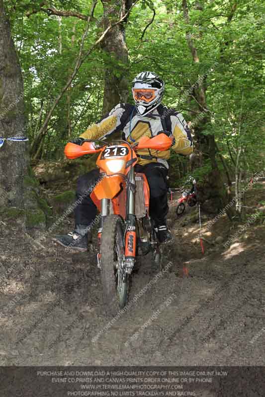 enduro digital images;enduro photos;eventdigitalimages;llandrindod wells;no limits trackdays;peter wileman photography;trackday digital images;wales;welsh 2 day enduro