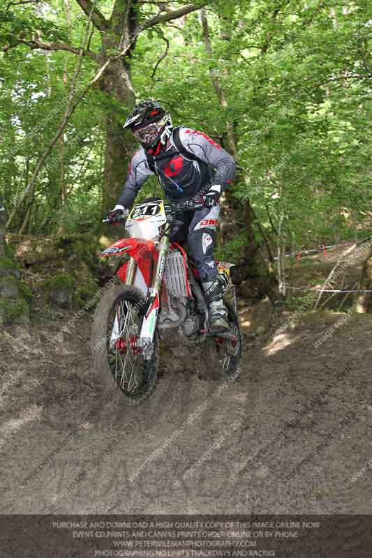 enduro digital images;enduro photos;eventdigitalimages;llandrindod wells;no limits trackdays;peter wileman photography;trackday digital images;wales;welsh 2 day enduro