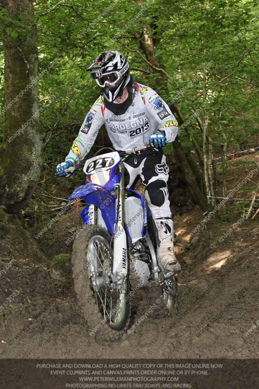 enduro digital images;enduro photos;eventdigitalimages;llandrindod wells;no limits trackdays;peter wileman photography;trackday digital images;wales;welsh 2 day enduro