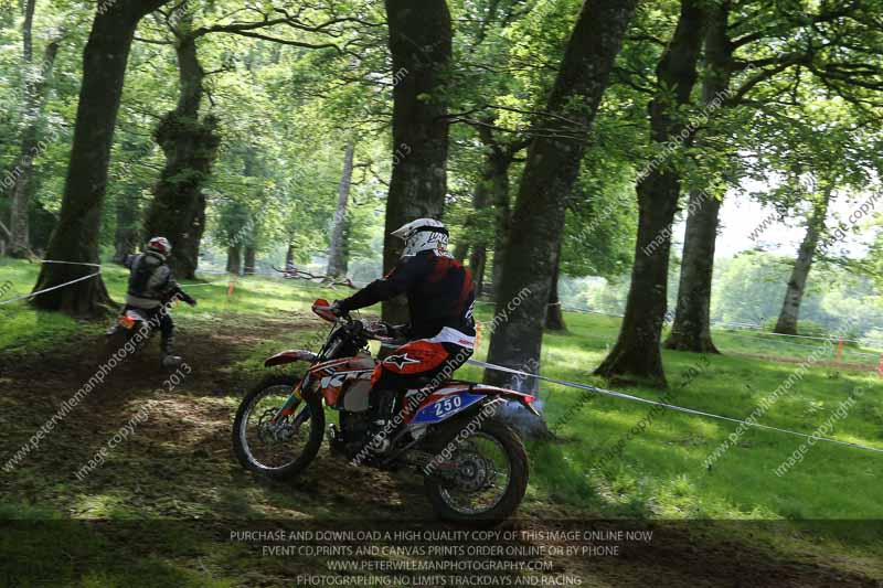 enduro digital images;enduro photos;eventdigitalimages;llandrindod wells;no limits trackdays;peter wileman photography;trackday digital images;wales;welsh 2 day enduro