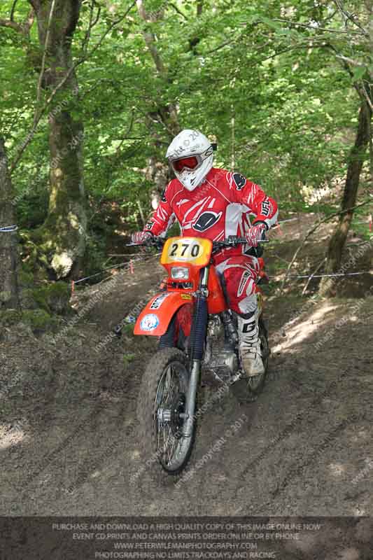enduro digital images;enduro photos;eventdigitalimages;llandrindod wells;no limits trackdays;peter wileman photography;trackday digital images;wales;welsh 2 day enduro