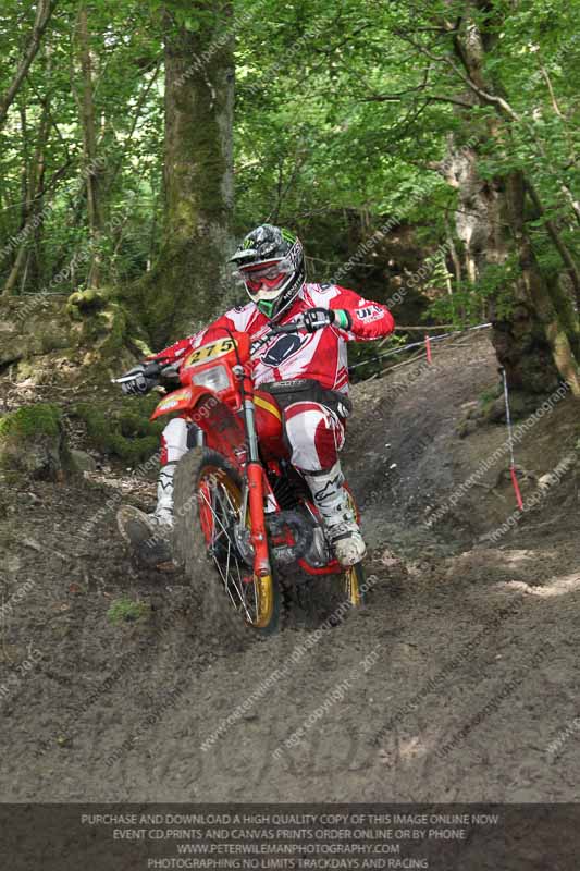 enduro digital images;enduro photos;eventdigitalimages;llandrindod wells;no limits trackdays;peter wileman photography;trackday digital images;wales;welsh 2 day enduro