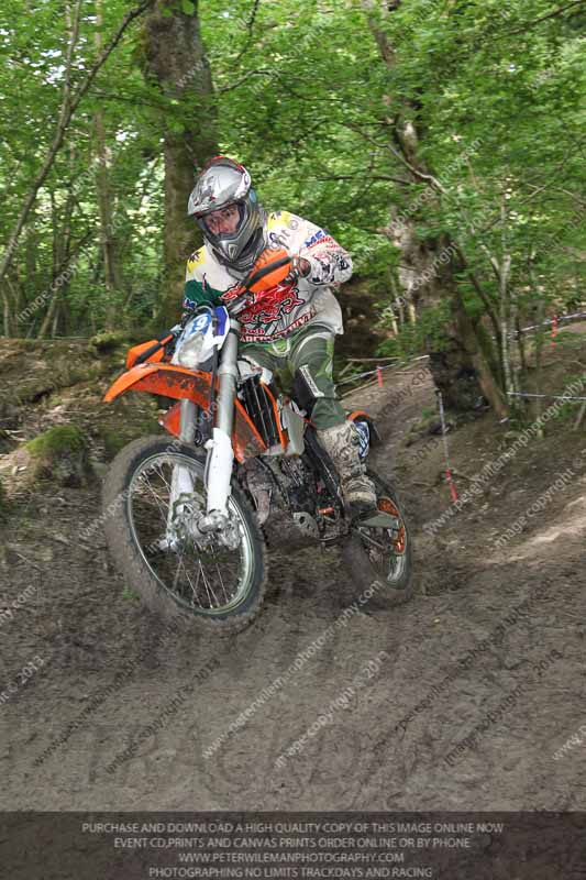 enduro digital images;enduro photos;eventdigitalimages;llandrindod wells;no limits trackdays;peter wileman photography;trackday digital images;wales;welsh 2 day enduro
