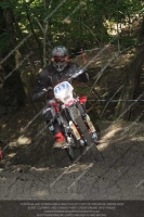 enduro-digital-images;enduro-photos;eventdigitalimages;llandrindod-wells;no-limits-trackdays;peter-wileman-photography;trackday-digital-images;wales;welsh-2-day-enduro