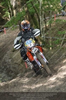 enduro-digital-images;enduro-photos;eventdigitalimages;llandrindod-wells;no-limits-trackdays;peter-wileman-photography;trackday-digital-images;wales;welsh-2-day-enduro