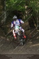 enduro-digital-images;enduro-photos;eventdigitalimages;llandrindod-wells;no-limits-trackdays;peter-wileman-photography;trackday-digital-images;wales;welsh-2-day-enduro