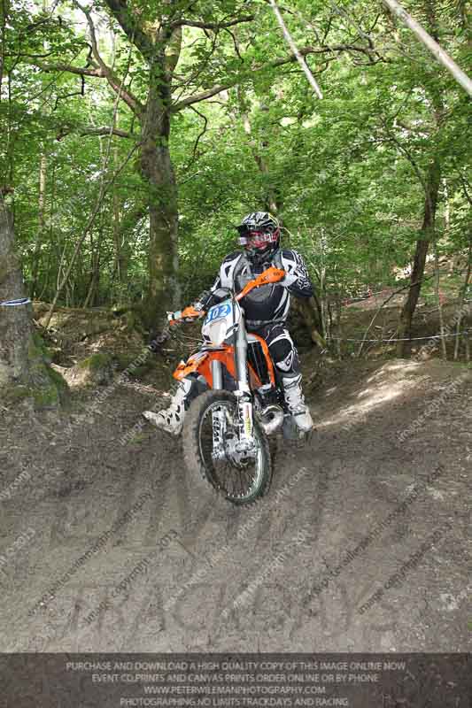 enduro digital images;enduro photos;eventdigitalimages;llandrindod wells;no limits trackdays;peter wileman photography;trackday digital images;wales;welsh 2 day enduro