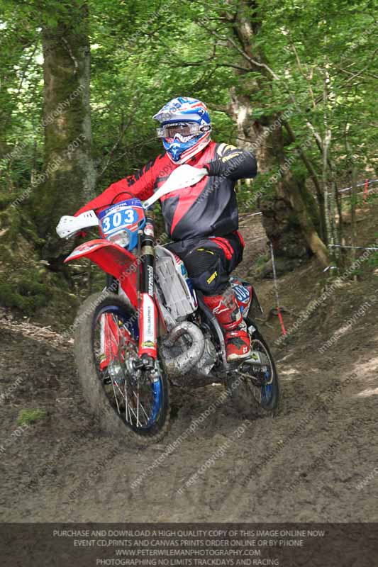 enduro digital images;enduro photos;eventdigitalimages;llandrindod wells;no limits trackdays;peter wileman photography;trackday digital images;wales;welsh 2 day enduro